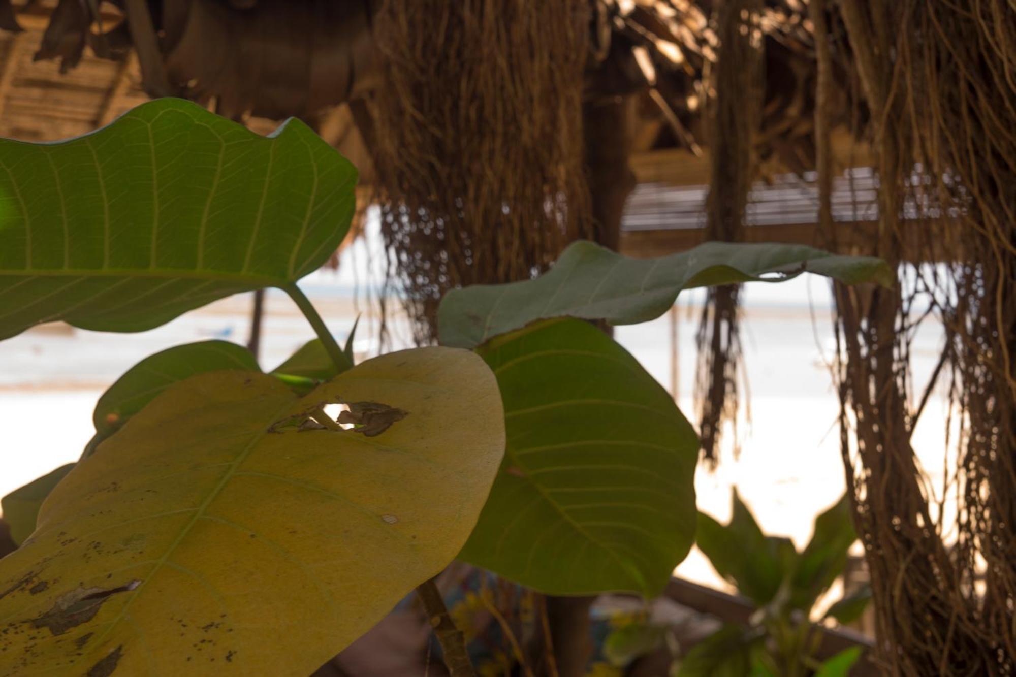 Chez Senga Hotel Madirokely  Luaran gambar